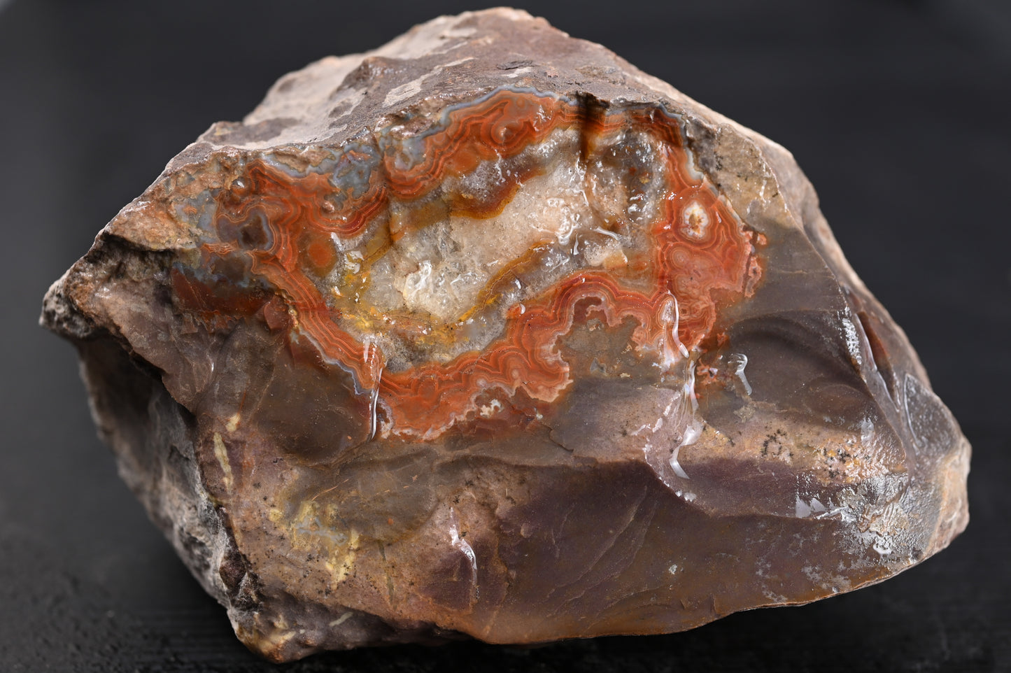 Dryhead Premium specimen rough