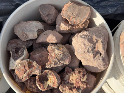 Dryhead lapidary rough
