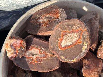 Dryhead lapidary rough