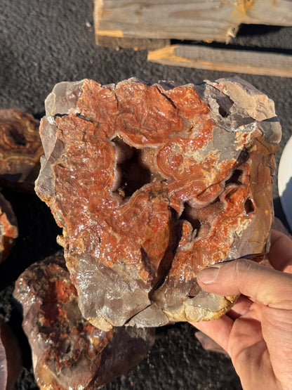 Dryhead Premium specimen rough