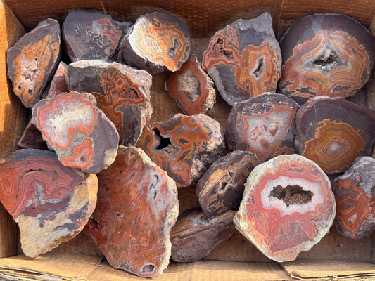 Dryhead specimen rough