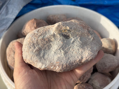 Dryhead specimen rough