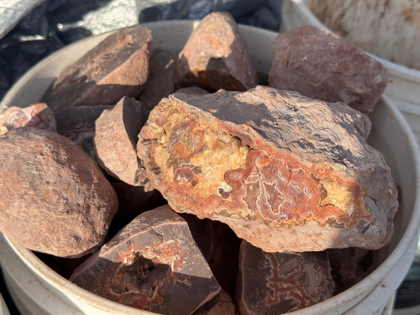 Dryhead lapidary rough