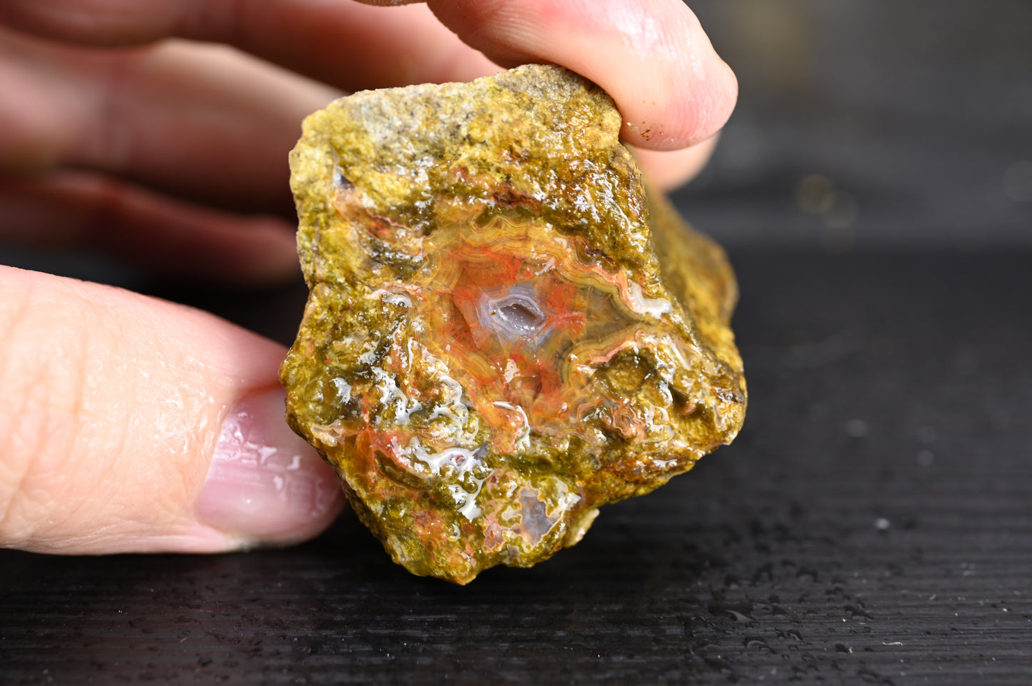 Turkish limbcast rough Agate for 20$ per piece