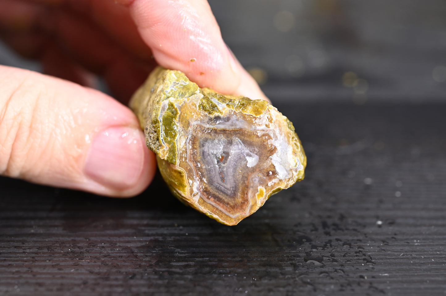 Turkish limbcast rough Agate for 20$ per piece