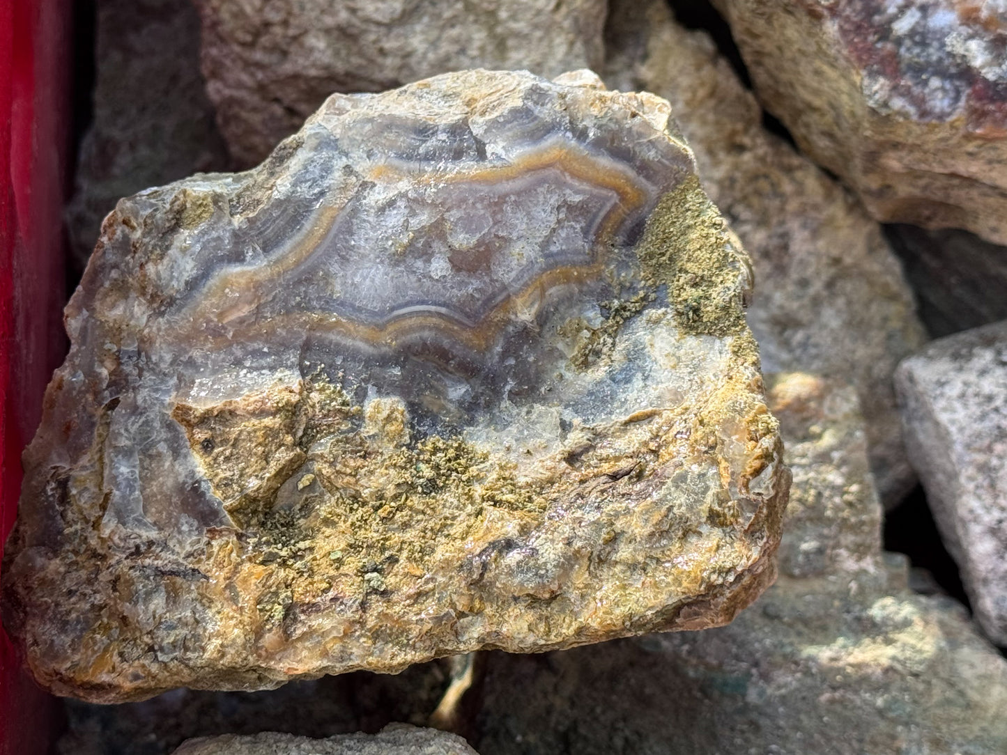 Turkish Limbcast agate specimen rough by weight