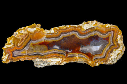 Turkish Limbcast agate specimen rough by weight